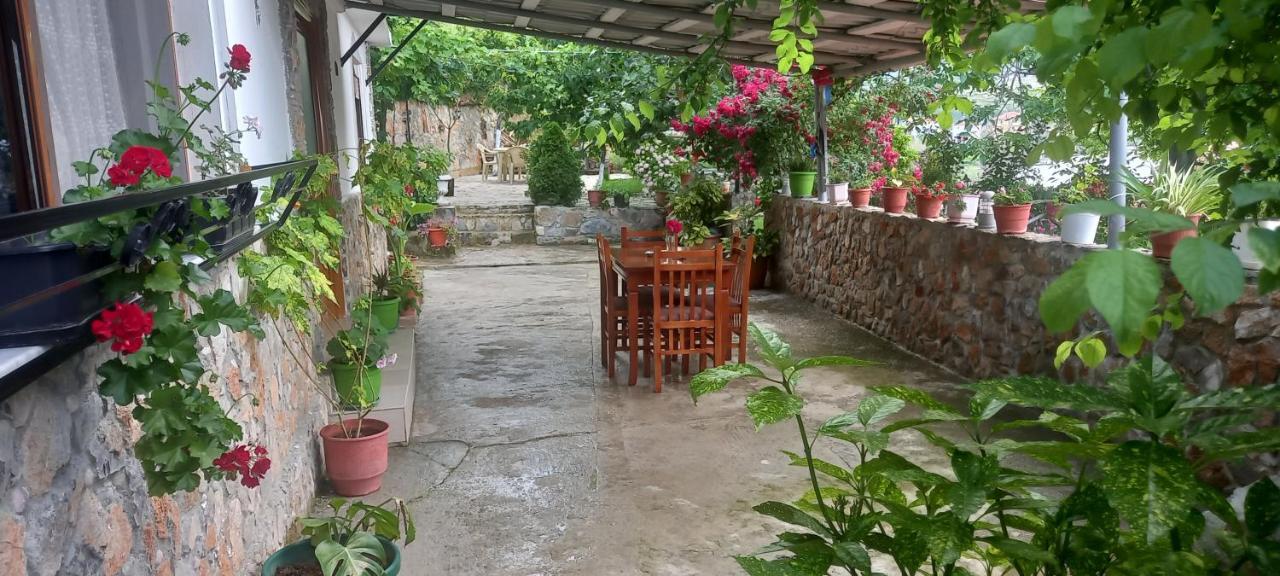 Roleo Guest House Lin Exterior foto