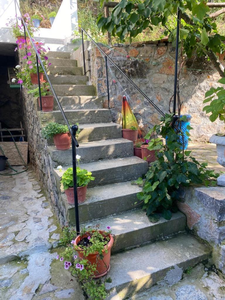 Roleo Guest House Lin Exterior foto