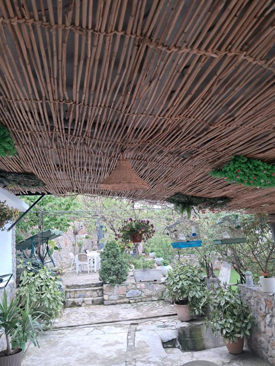 Roleo Guest House Lin Exterior foto